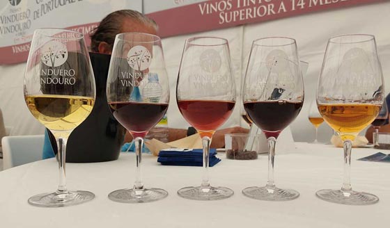 Tecnovino VinDuero-VinDouro cata