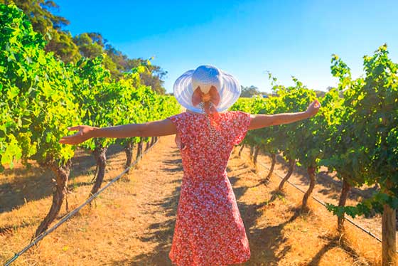 Tecnovino actividades enoturísticas durante la vendimia La Verema del Cava Aecava 1