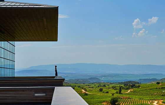 Tecnovino vacaciones en Rioja detalle 1