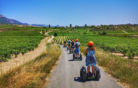 Tecnovino vacaciones en Rioja detalle 2