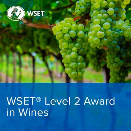 Tecnovino Bodegas Baigorri WSET level 2