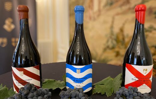 Tecnovino nuevos vinos singulares de Bodegas Sonsierra