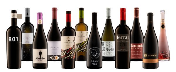 Tecnovino Colección Premium 2021 "El Vino de las Piedras"