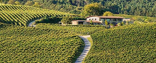 Tecnovino Hiruzta Bodega panorámica