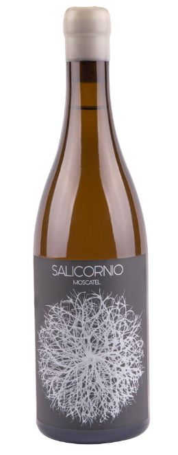 Tecnovino Salicornio Moscatel de Bodega Vinessens