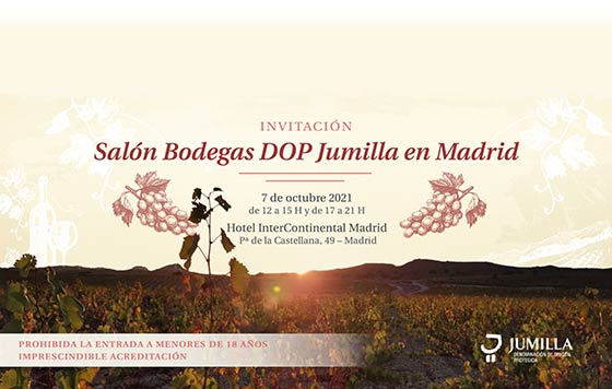 Tecnovino Bodegas DOP Jumilla salón detalle