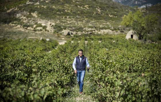 Tecnovino Bodegas Izadi Lalo Antón