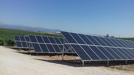 Tecnovino Gonzalez Byass parques solares Finca Constancia