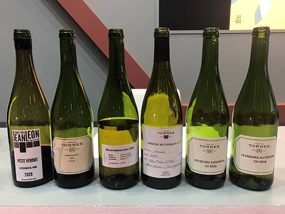 Tecnovino vino en el Salón Gourmets 2021 Familia Torres vinos experimentales