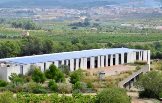 bodega catalana miembro de IWCA 2021