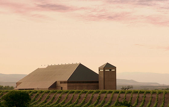 Tecnovino Bodegas Guelbenzu vistas detalle