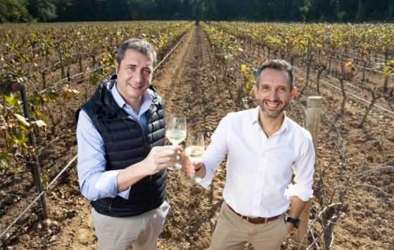 Tecnovino- Raventós Codorníu se posiciona como el mayor productor de cava ecológico a nivel mundial