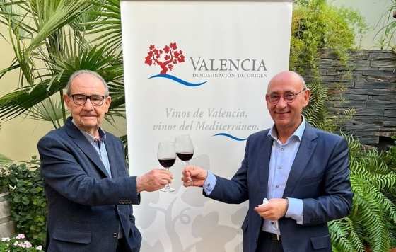 Tecnovino- Manjón nuevo presidente D.O Valencia