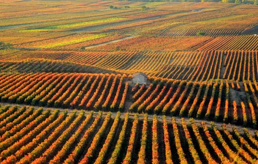 Tecnovino Vinotec Next transformación digital de bodegas