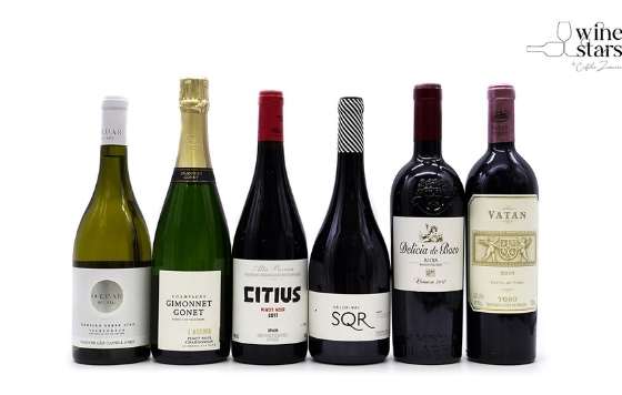 Tecnovino- Club Wine stars Club, club del vino abanderado por Custodio Zamarra