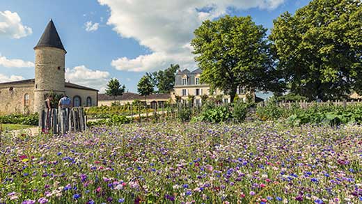 Tecnovino Best Of 2022 Château Guiraud