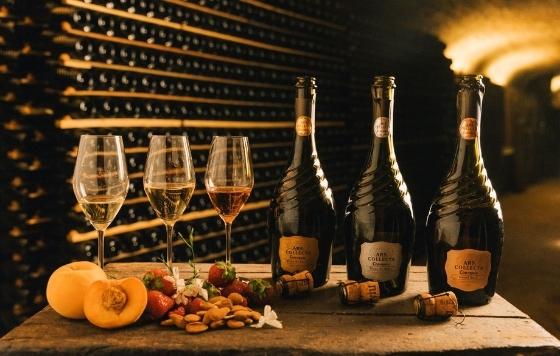 Tecnovino- Bodegas15 ideas de vinos y cava para regalar