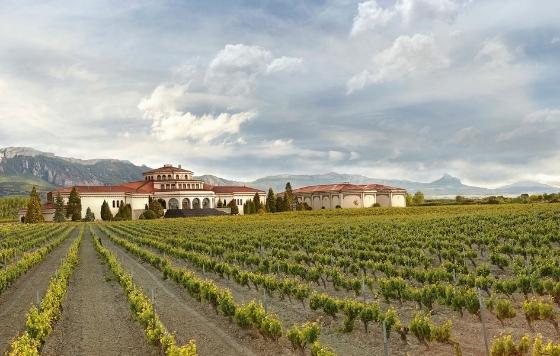 Tecnovino- Bodegas campillo