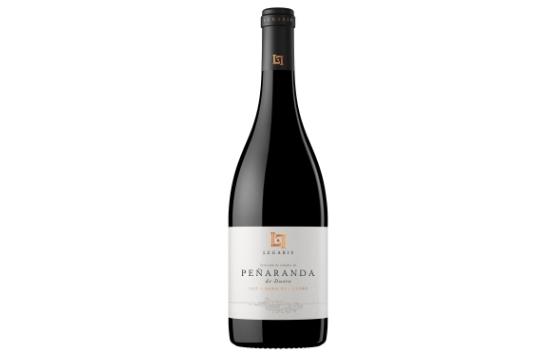 Tecnovino- Peñaranda de Duero 2017