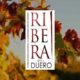 Tecnovino-Riberadelduero-Enopedia.jpg
