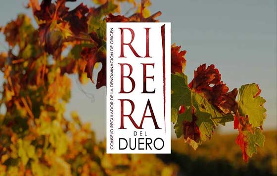 Tecnovino, Enpoedia, la enciclopedia del vino de Ribera del Duero