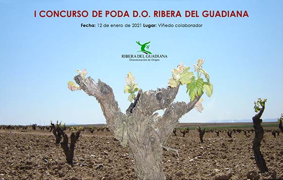 Tecnovino Concurso de Poda Ribera del Guadiana detalle