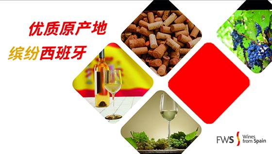 Tecnovino campaña de los vinos españoles en China OIVE 2