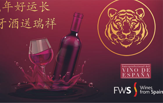 Tecnovino campaña de los vinos españoles en China OIVE detalle