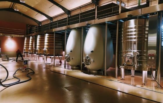 Tecnovino- Bodega Tinto Pesquera