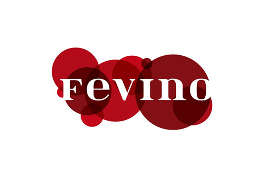 Tecnovino Fevino 2022 Galicia logo detalle