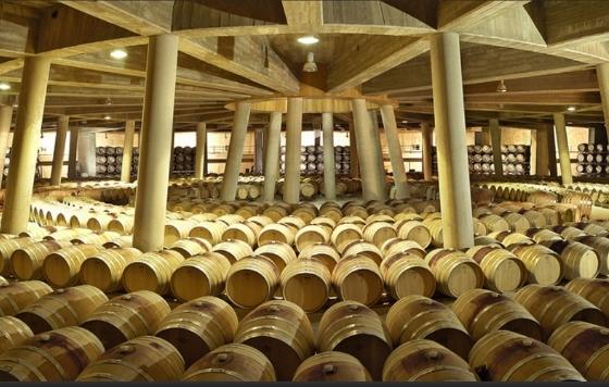 Tecnovino Ruta Rioja Alavesa bodega