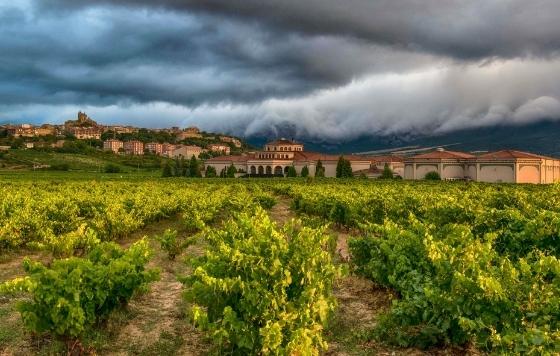 Tecnovino Ruta Rioja Alavesa 1