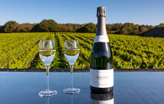 Tecnovino bodegas e inversiones Henkell Freixenet compra Bolney Wine Estate