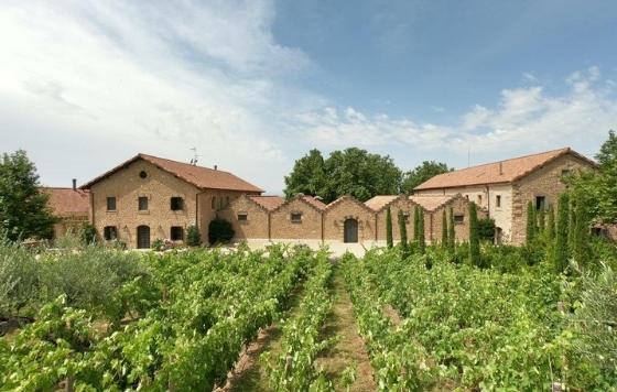 Tecnovino- Bodega Cosme Palacio