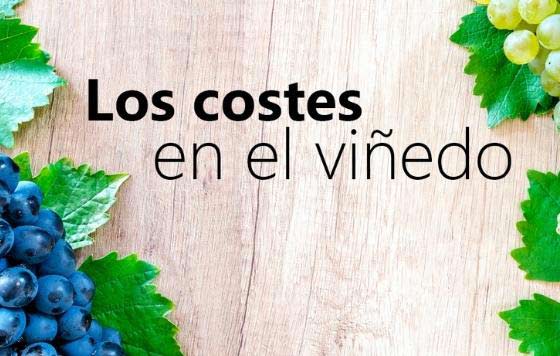 Tecnovino Curso los Costes en el viñedo