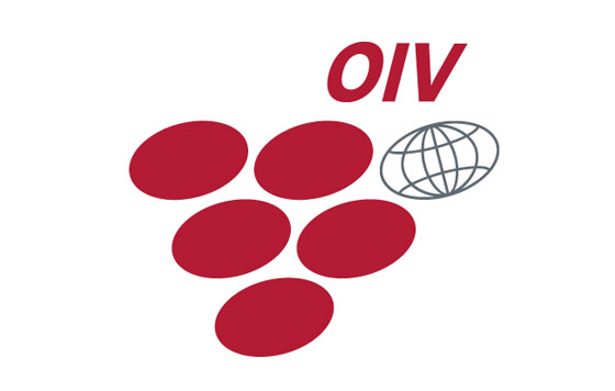 Tecnovino Organización Internacional de la Viña y el Vino OIV logo puestos de trabajo en la OIV