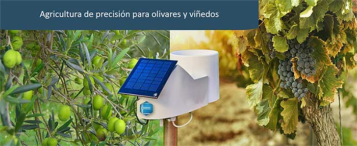 Tecnovino estacion Meteo de Elaisian sistemas de apoyo a la decisión en la agricultura