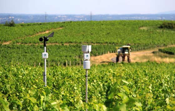 Tecnovino estaciones meteorológicas estacion y anemo viñedo Weenat detalle