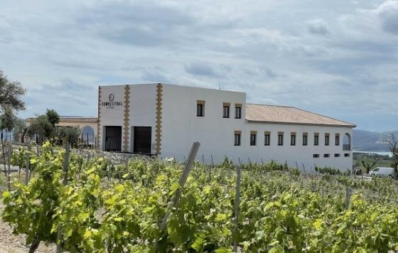 Tecnovino- Bodegas Campestral, bodega de vinos ancestrales