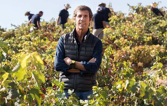 Tecnovino Javier Moro presidente Bodegas Emilio Moro