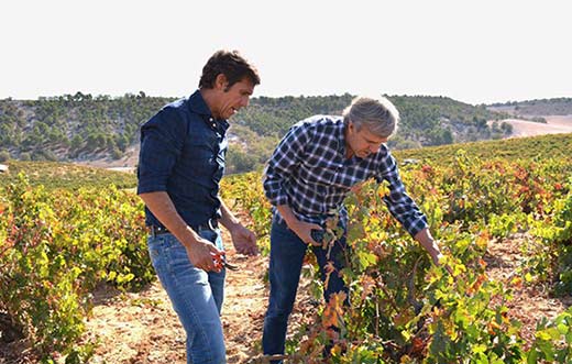 Tecnovino Javier Moro y Jose Moro detalle