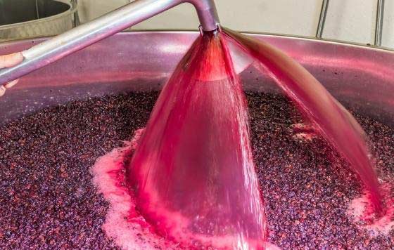 Tecnovino fermentación maloláctica de los vinos Enartis