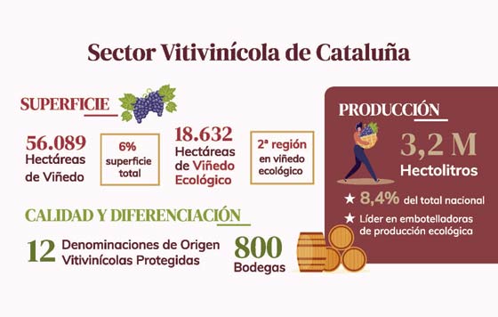 Tecnovino sector vitivinícola en Cataluna Oive infografía detalle
