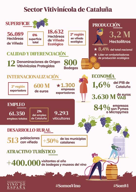 Tecnovino sector vitivinícola en Cataluña Oive infografía