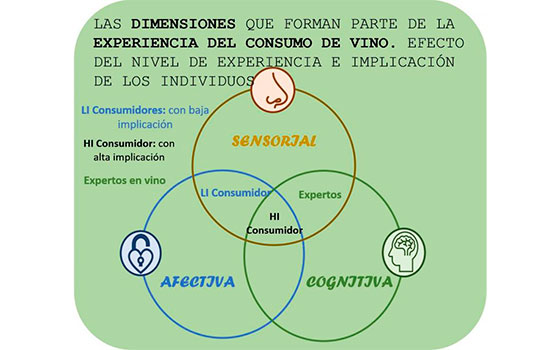 tecnovino consumo de vino ICVV.jpg