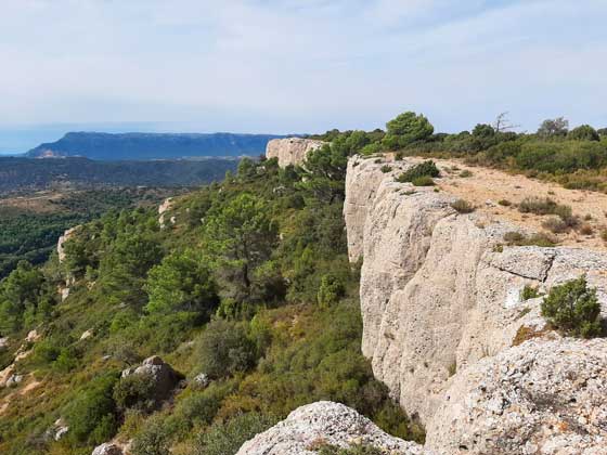 Tecnovino Sierra de Llena Ruta del Vino de España Sierra de Lleida