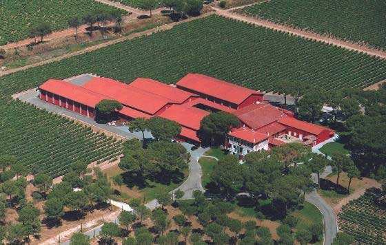 Tecnovino- Artevino Family Wineries instalaciones
