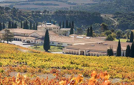 Tecnovino Bodega de Sarría instalaciones y viñedo detalle