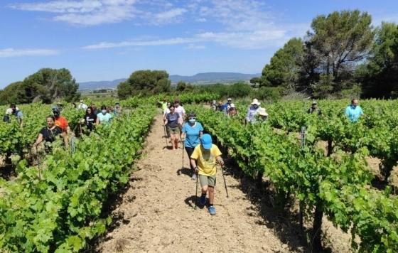 Tecnovino- La Primavera del Cava