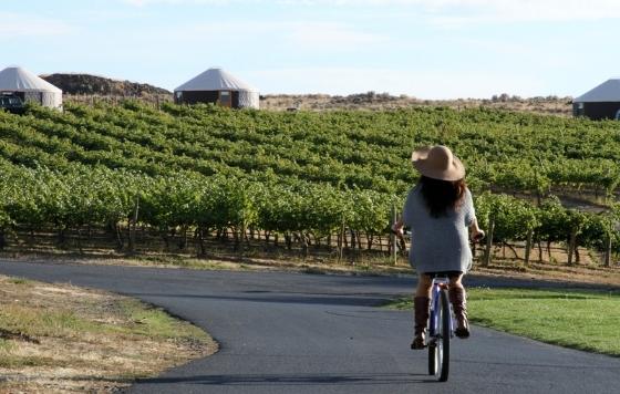 Tecnovino- Primavera Cava Pagés Entrena